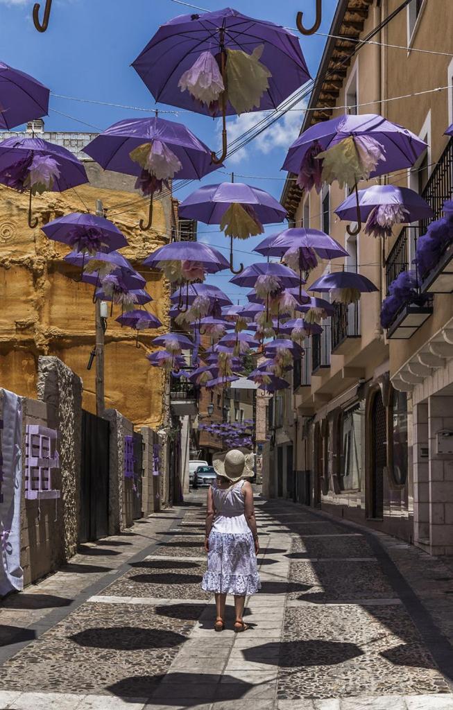 Apartamentos Tierra Lavanda Brihuega Bagian luar foto